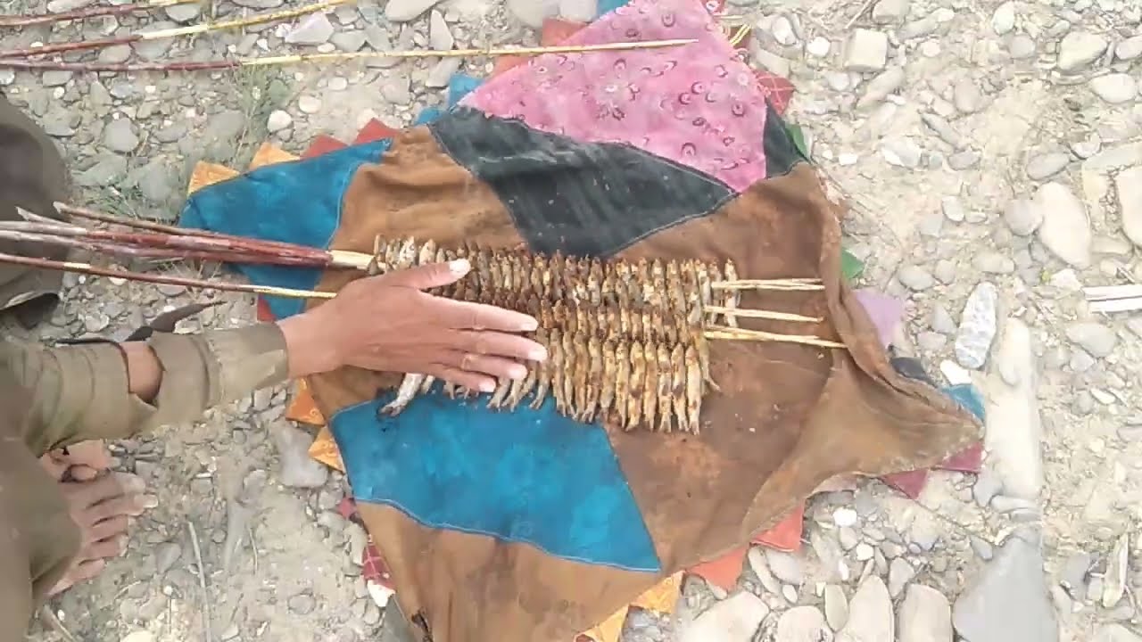 Village fishing cocking/How to cock fish 