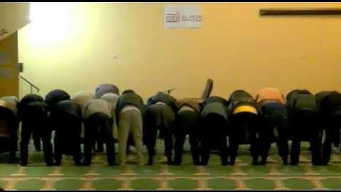 ماتيسرمن سورة الروم وفصلت للشيخ قالون بصوت الدوكالي