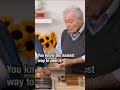 Egg Peeling Techniques and Tips