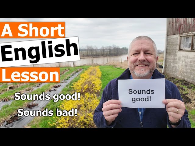 Learn the English Expressions Sounds good! and Sounds bad! class=