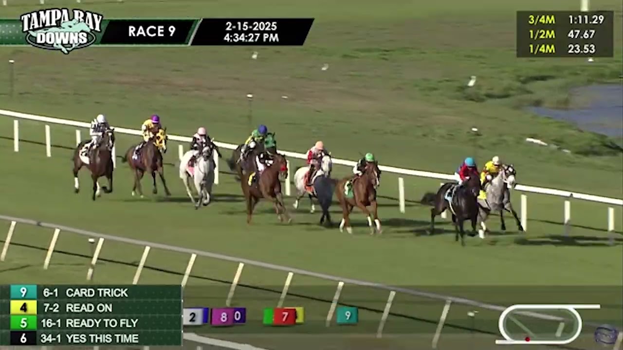 Junior Alvarado Previews The Mac Diarmid (G2)  - Parchment Party