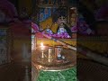 लाइव हाइलाइट