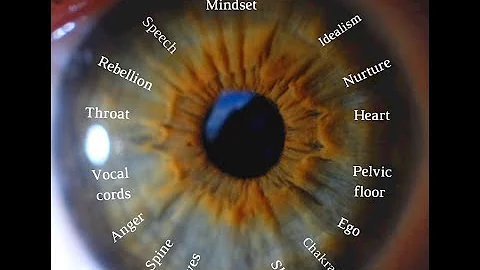 How to take an iris photo with your iPhone