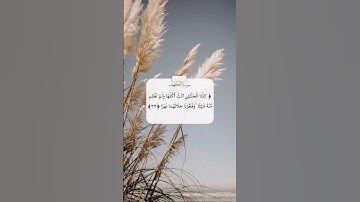 وَاضرِب لَهُم مَّثلًا رَّجُلَينِ جَعَلنَا لِأَحدِهِمَا جَنَّتين 🌿 تلاوة مباركة (٣٢-٣٥)من سورة الكهف