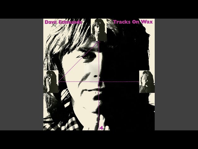 Dave Edmunds - Never Been In Love