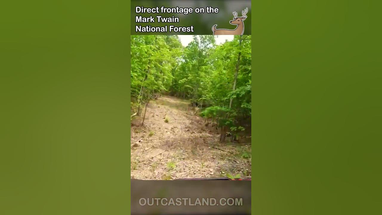 1-500-down-payment-owner-financed-acreage-on-50k-acres-public-land