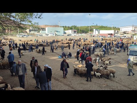 DİYARBAKIR DA BİTMEYEN  PAZARLIKLAR.