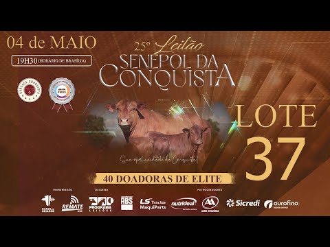 LOTE 37 CONQ 2840