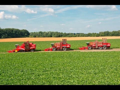 agriculture industry in australia GRIMME Rübentechnik | ROOTSTER 604, REXOR 620, REXOR 630 & MAXTRON 620