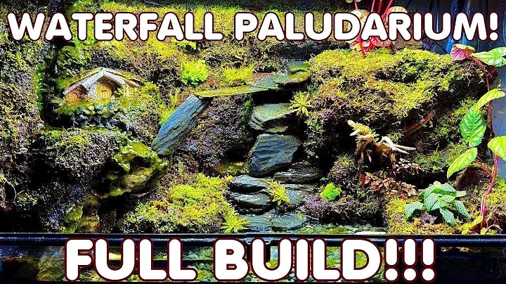 Epic Waterfall Paludarium Build!