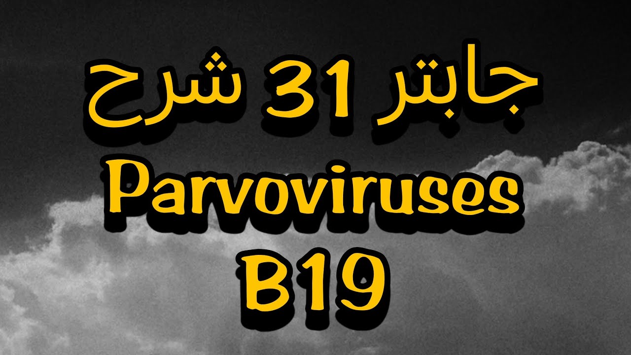 مايكرو وزاري Parvoviruses جابتر 31/ كلية الصيدلة المرحلة الثانية 