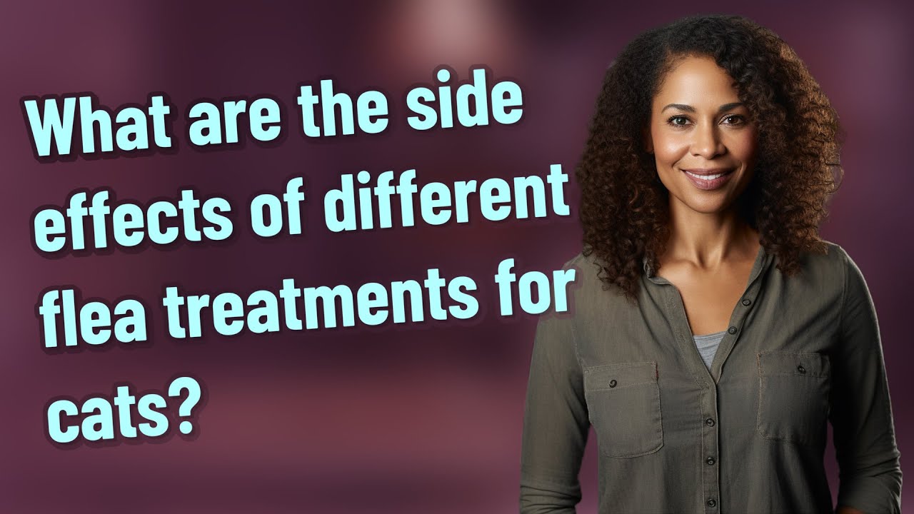 What are the side effects of different flea treatments for cats? - YouTube
