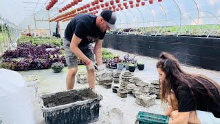 How to make hypertufa cement pots!