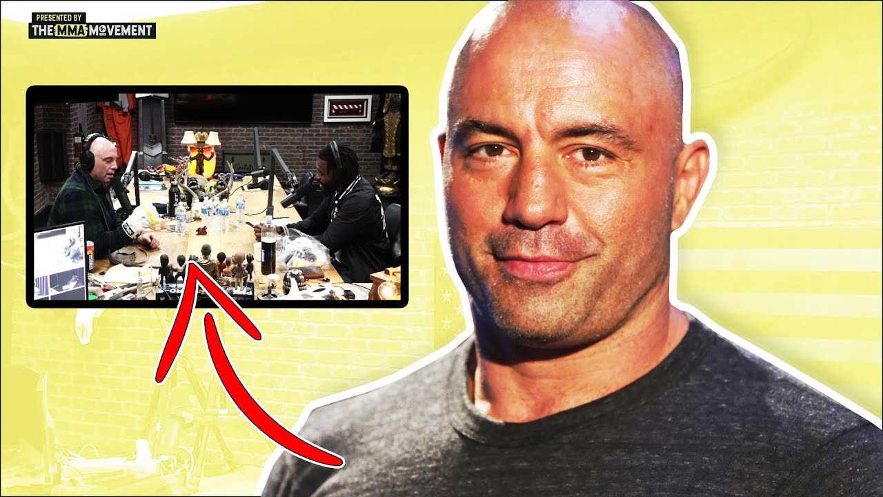 Joe Rogan Loves These New MMA Gloves YouTube
