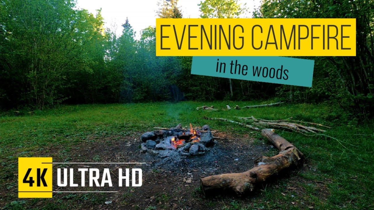4k Campfire in the Woods. Evening relaxation. Crackling fire and