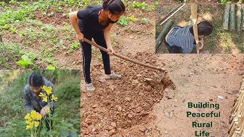 Make a Bamboo Fence to Prevent Chickens From Destroying The Garden