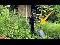 120 DAYS Female CEO Transforms Abandoned Forest Cabin into Self-Sufficient Home! part 1