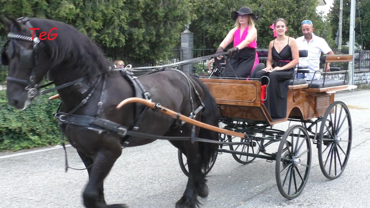 La premiazione delle carrozze con cavalli - Samone 2023