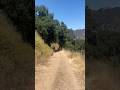 An amazing hike in Carmel Valley #hiking