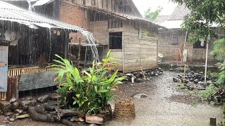 4K-heavy rain in my village-indonesian country