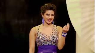 Priyanka chopra's mind blowing performance at IIFA AWARDS 2014 Tampa bay FLORIDA (USA).