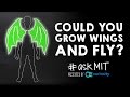 Genetic Engineering and Human Wings