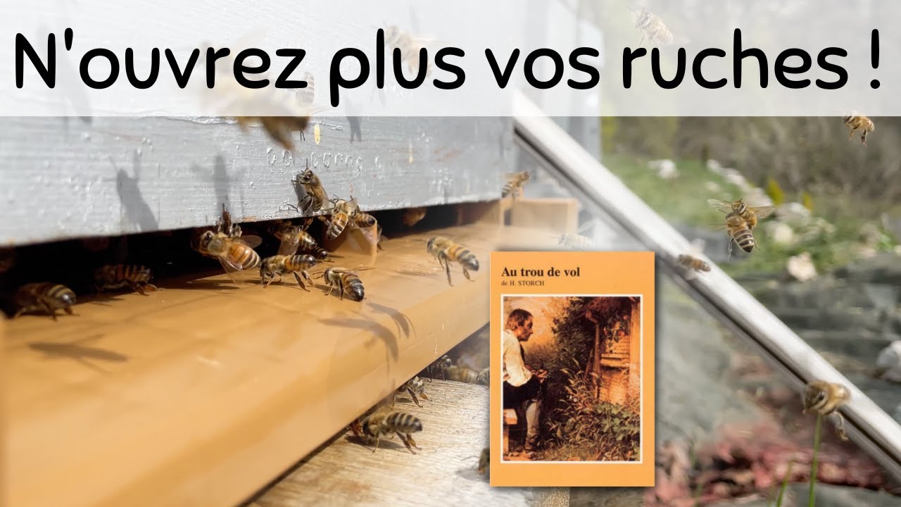 Comment ouvrir et inspecter une ruche ?