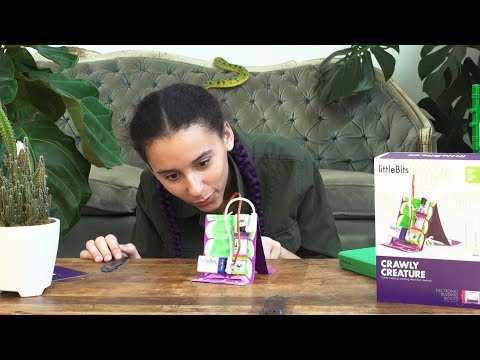 littleBits Hall of Fame Kits: Introducing Crawly Creature