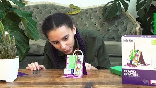 Littlebits Hall Of Fame Kits Introducing Crawly Creature