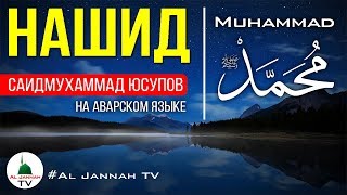 Красивый Нашид 🔴 Мухаммад [Саидмухаммад Юсупов] Nasheed l Muhammad