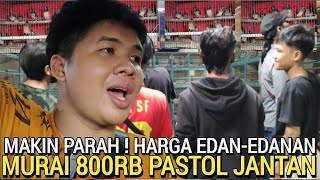 SEMURAH INI ! HARGA MURAI BATU ANCUR 800RB PASTOL SEHAT DI PASAR BURUNG PRAMUKA KIOS SIGIT