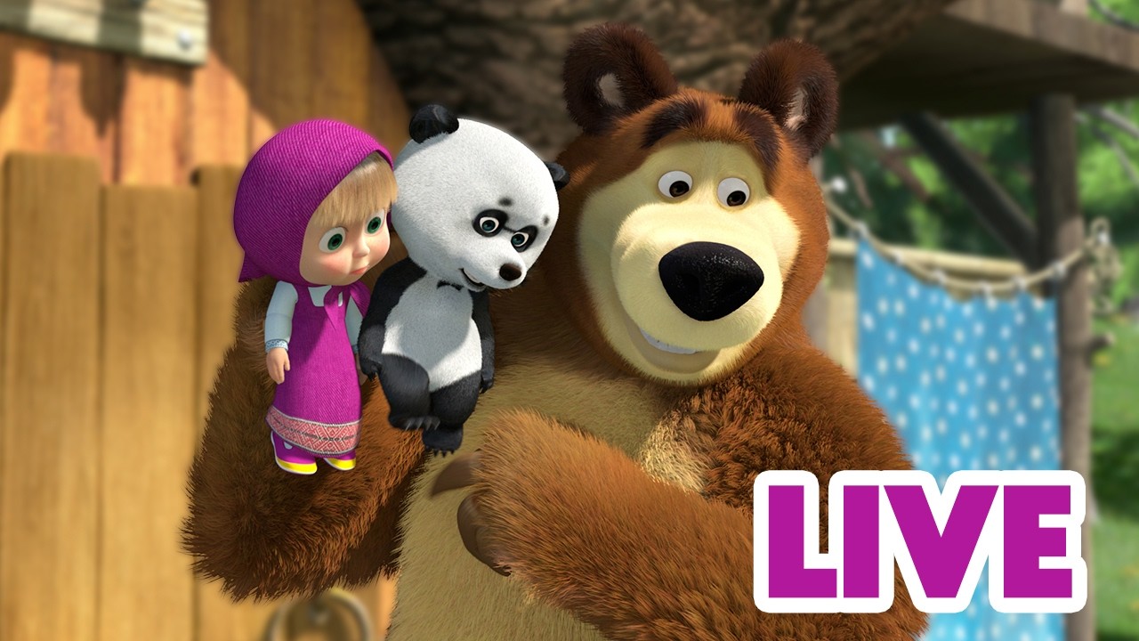 מאשה והדוב 👱‍♀️🐻 ביחד אנו נהנים יותר! 🐼☺️ סרטים לילדים 🔴 LIVE ⭐️