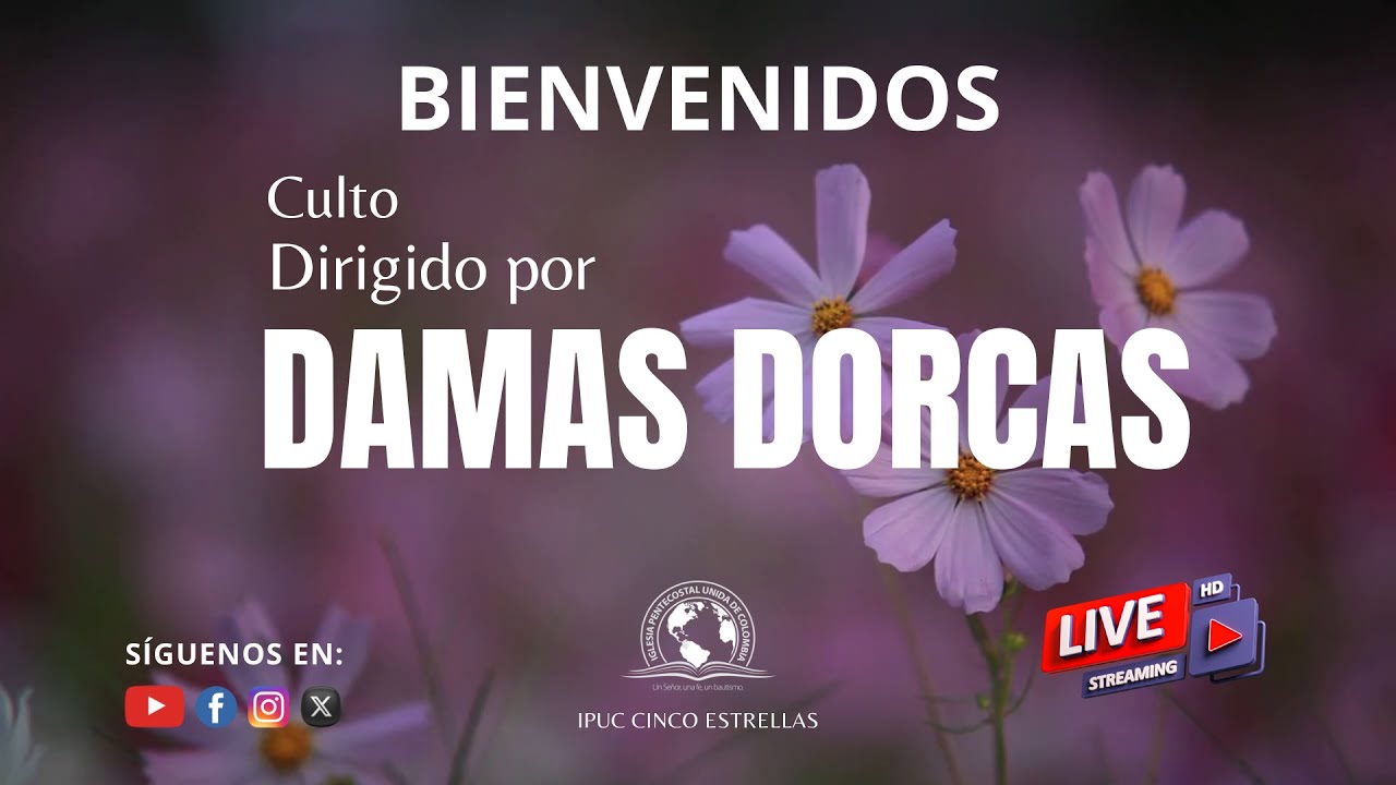 CULTO DE DAMAS DORCAS | 09 DE JULIO 2024 - YouTube