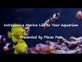 Beginning of video