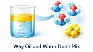 Why Oil and Water Don’t Mix