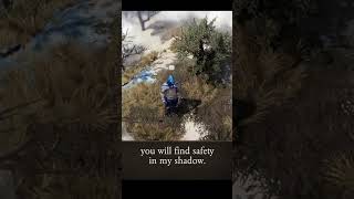 at a loss — Divinity: Original Sin 2 dialogue scene