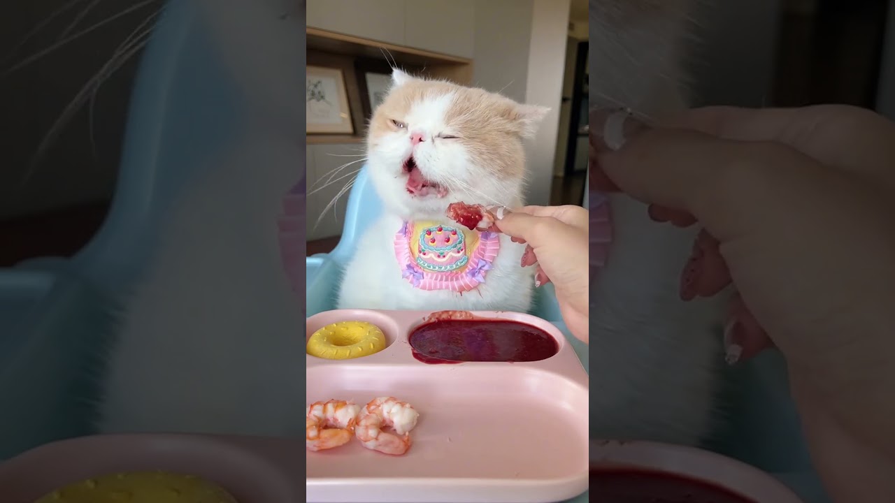 Your Long-Awaited Immersive Eating Experience! Put on Your Headphones and Enjoy!