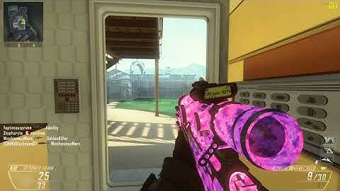 Spawn Trap on Dogtors servers / Plutonium