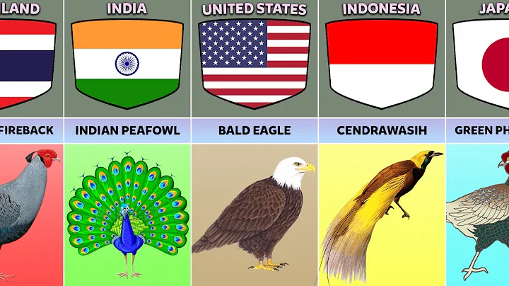 National Birds From Different Countries - DayDayNews
