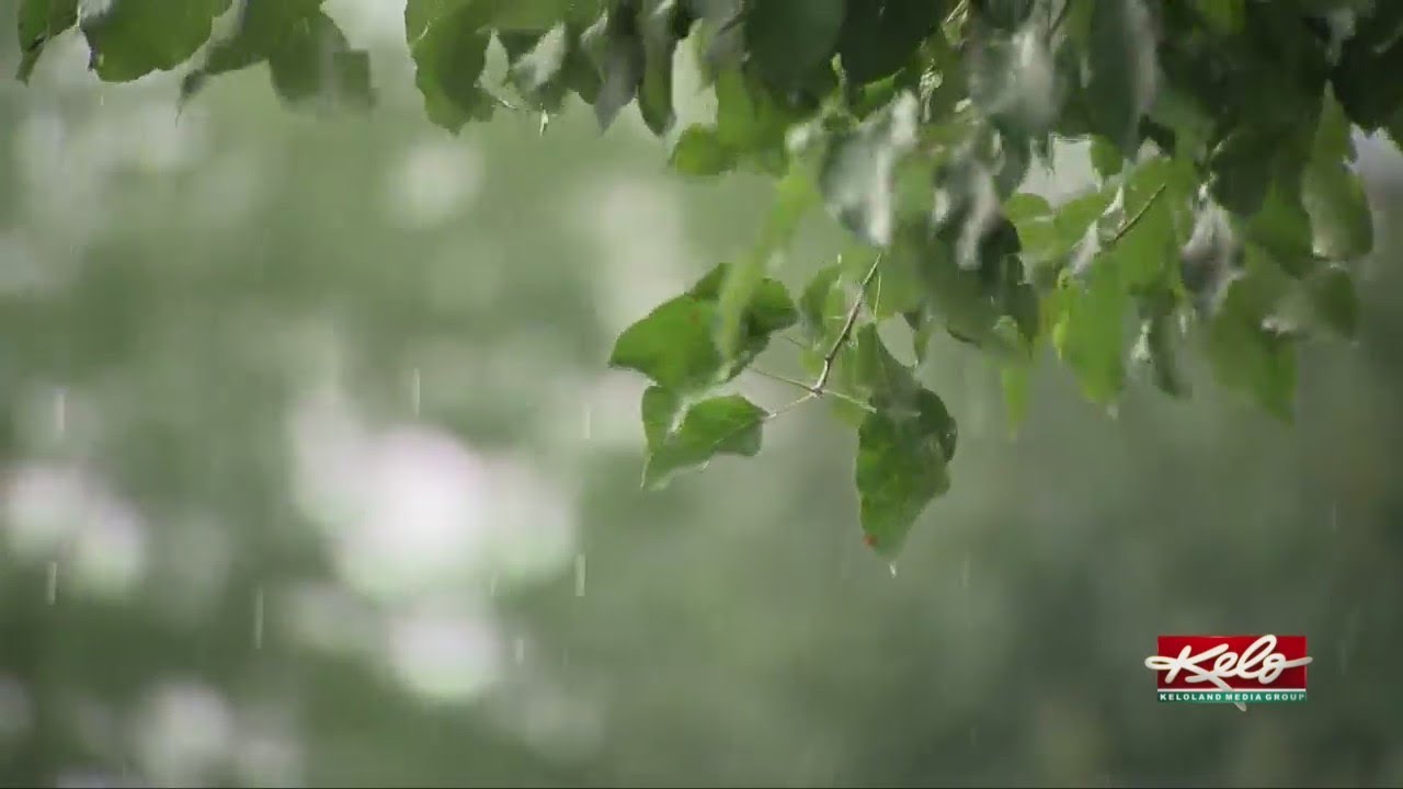 rain totals for today nas jacksonville rain totals for today nas jacksonville