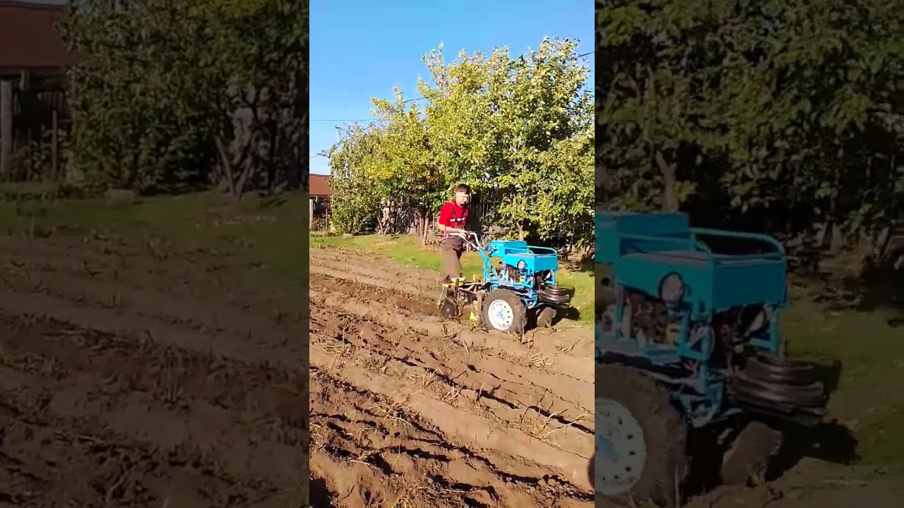 Убираем картофель👍