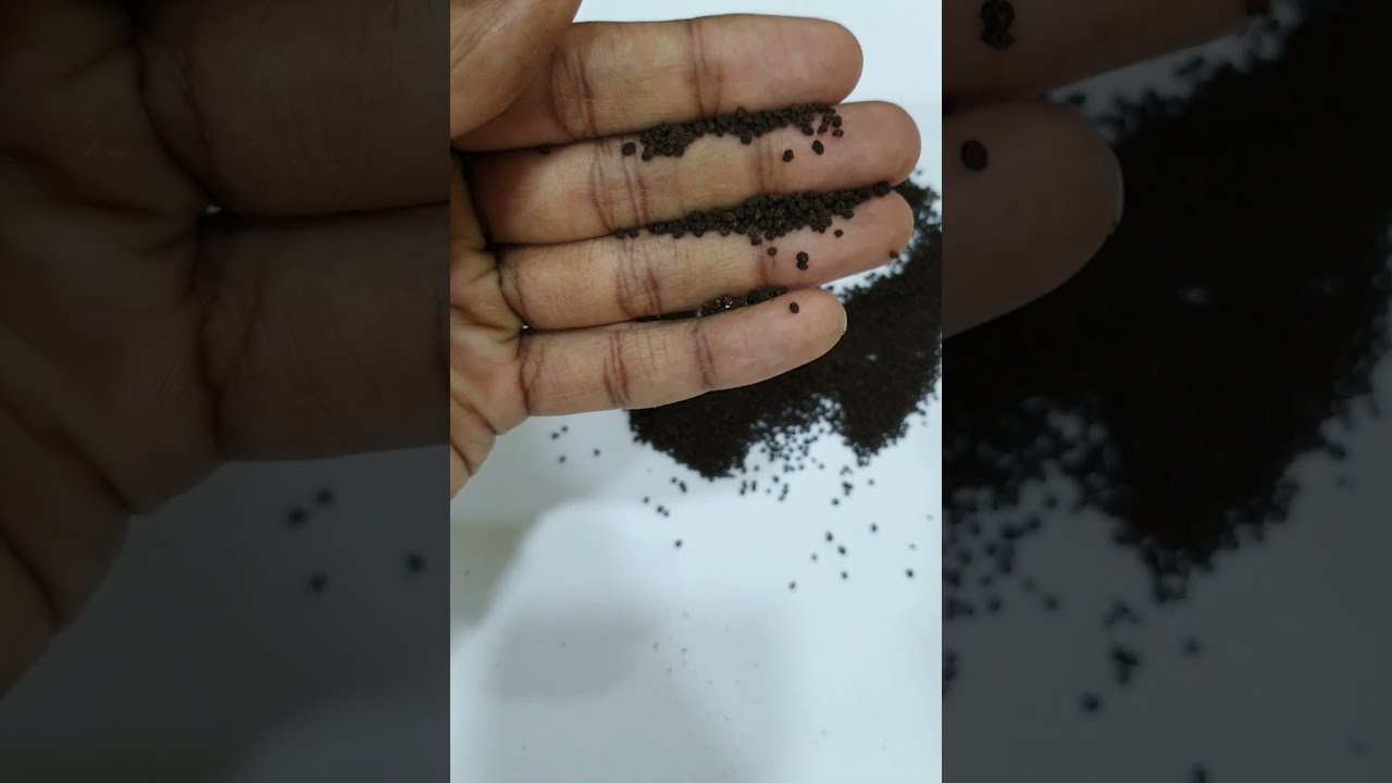 Swachh Tea Dhaulagiri Bopsm Grade ctc Tea assam tea and doars tea