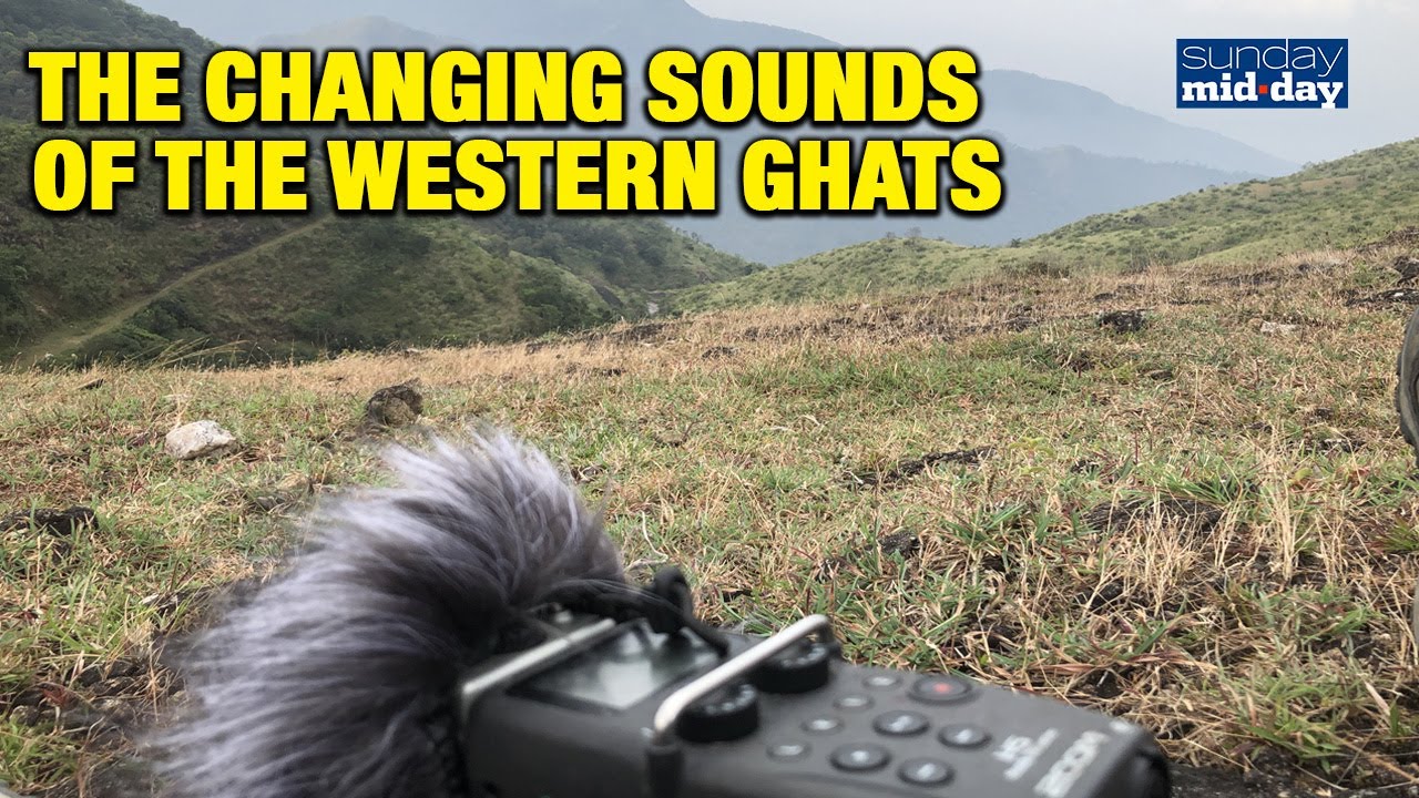 The Changing Sounds Of The Western Ghats | Ears To The Ground Project