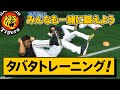 野手と一緒にタバタトレーニング！