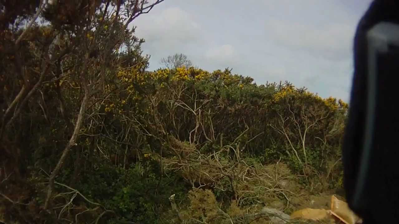 FRV 29/4/12 HardCorps team shoot