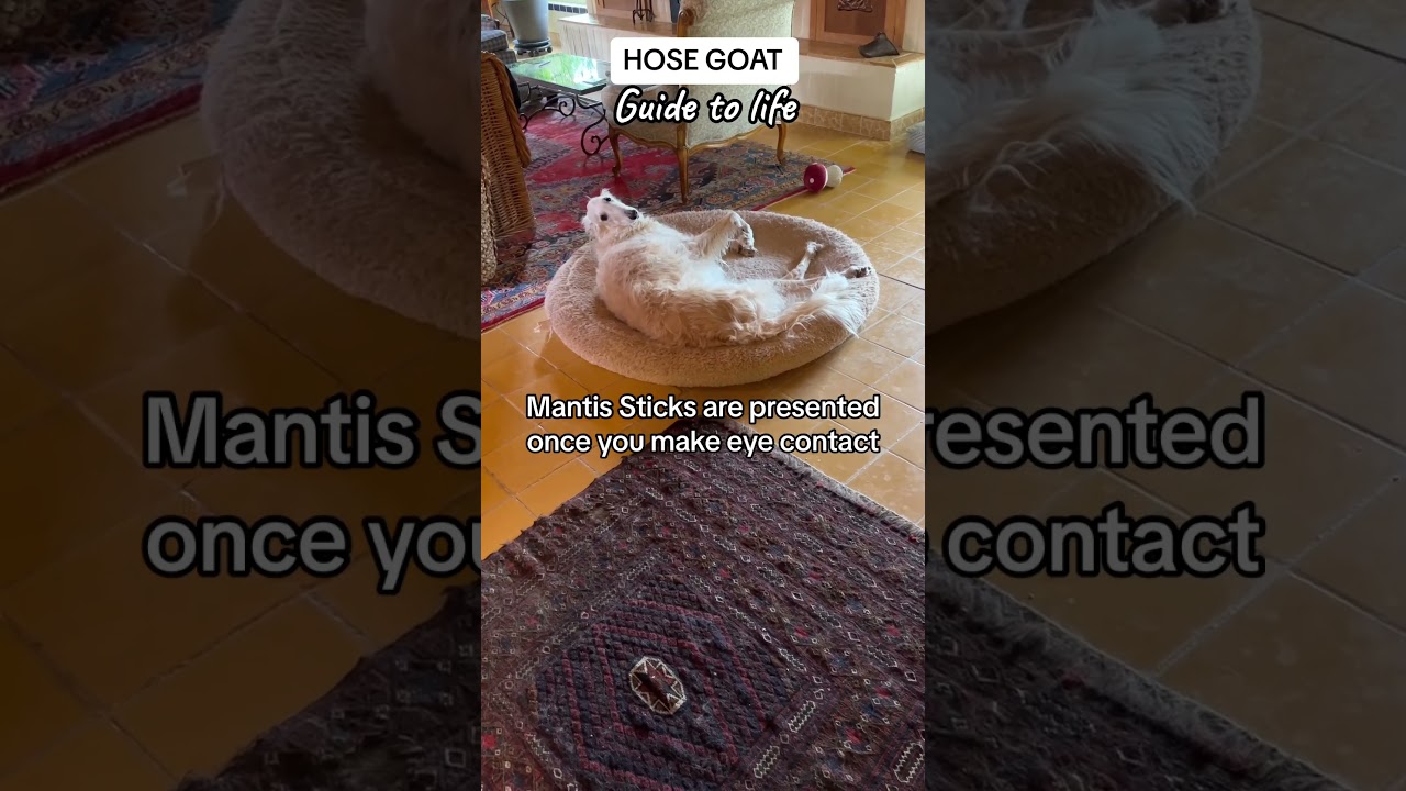 Hose Goat Guide to Life 