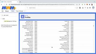 Celebrity Salesforce Enhanced Profile User Interface and User Management Settings Profile
