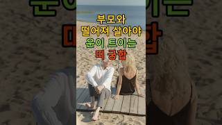 부모와 떨어져 살아야 운이 트이는 띠 궁합 #shorts #오늘의운세 #행운 #운세 #토정비결 #풍수 #풍수…