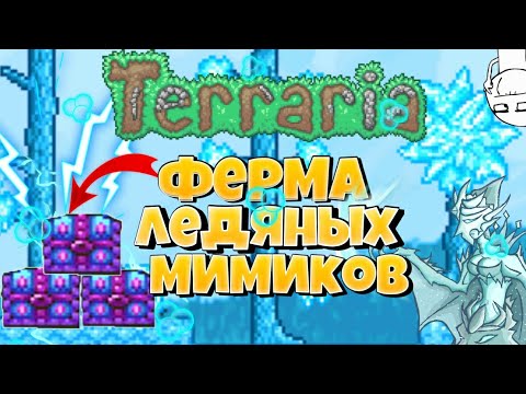 ледяной панцирь террария. панцирь ледяной черепахи террария. ферма мимиков террария. черепашья ферма террария. черепашка в террарии.