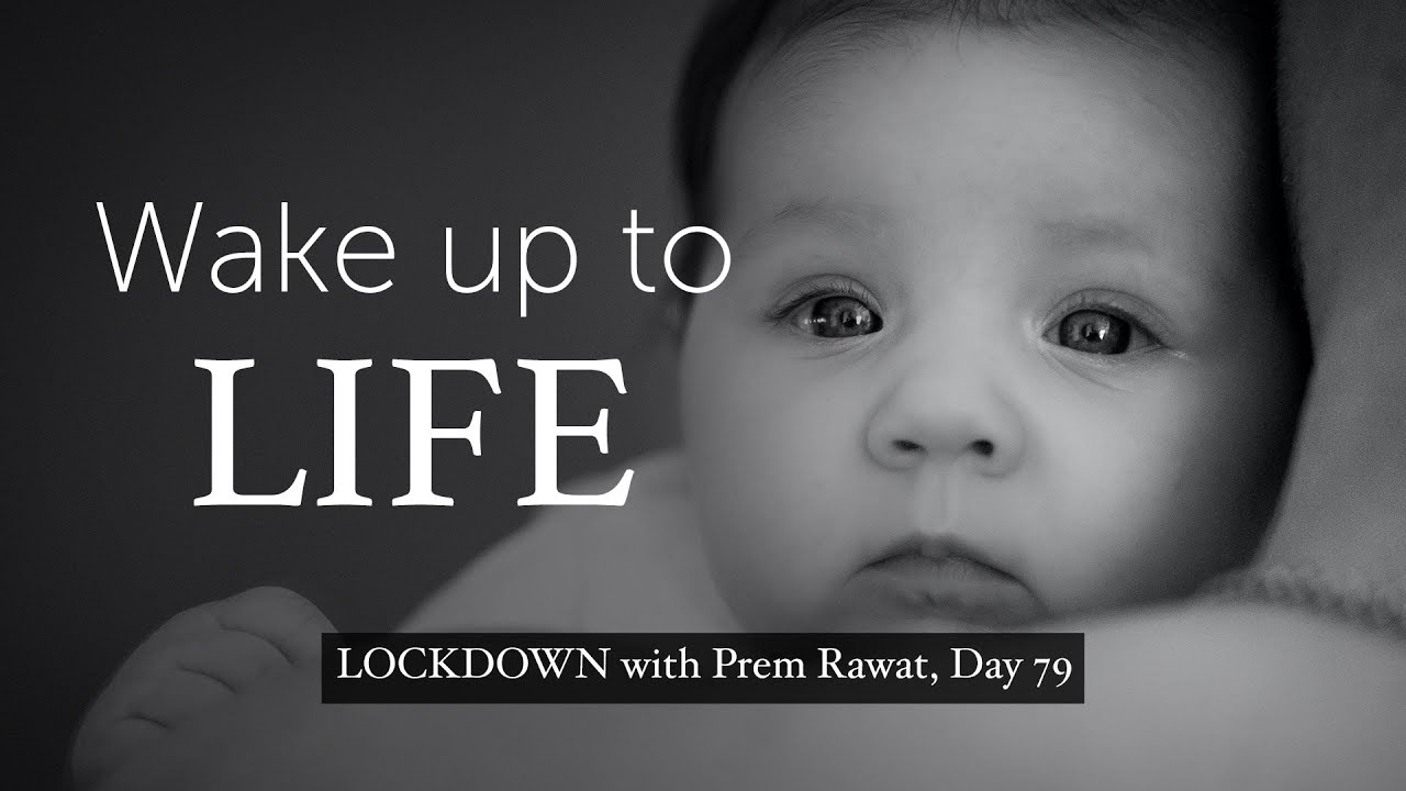 Lockdown Day 79 with Prem Rawat - Wake Up To Life